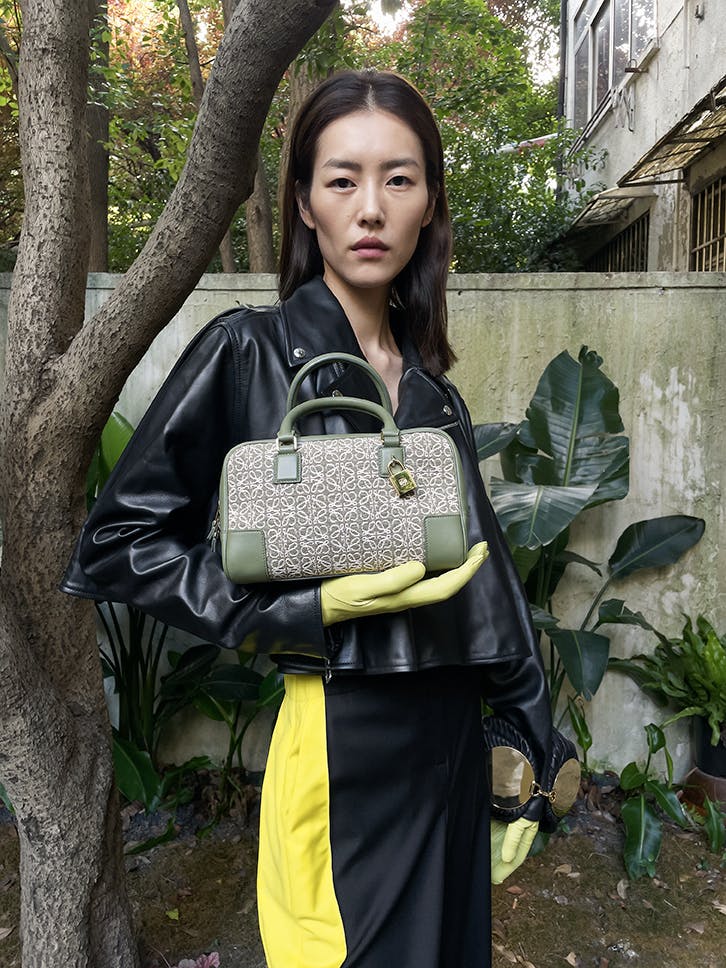 loewe amazona